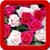 Best Rose Live Wallpapers