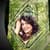 Forest Frames For Photos