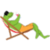 Frog Traveler