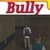 Guide for Bully