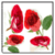 Flowers Of Valentines Day