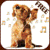 Animal Sounds - Animalia