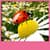Ladybug Live Wallpapers Best