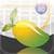 Mango V1.01