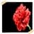 Carnation Flowers Onet Classic Game