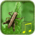 Cricket sounds app