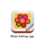 Photo Editor App