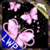 Butterfly Pink Shiny Glitter  A real coloured imag