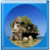 Isolated Buildings around the world
