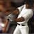  Baseball Pro