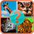 Guess the Animals