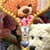Teddy Bear Zipper Lock Screen Free