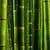 Bamboo Live Wallpaper