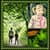 Best Nature Photo Collage