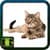 Photo Of Cats