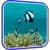 Fish HD Live Wallpaper