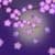 Plum Flower LWP
