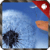 Galaxy S3 LWP Dandelion RView XY
