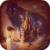The Beauty and the Beast Live Wallpaper