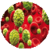 Cancer Diseases