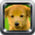 Dog Barking Sounds