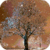 Wonderful Snow Live Wallpaper