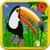 Jungle Friends Match