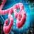 Ebola-Dos and Donts