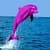 My Cute Dolphin Show