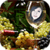 Wine Glass Photo Frame