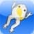 Froggydex for Pocket Frogs