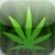 Cannabis News Pro