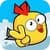 Bird Adventture