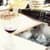 Animated Wine