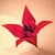 ORIGAMI FLOWERS