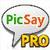 PicSay Pro - Photo Editor final