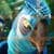Rio 2 Jigsaw Puzzle 4