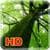Green Nature HD Wallpaper