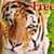 Animal Photo Puzzle