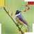 Smart Birds Sound Ringtone