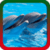 Dolphin Ringtones 2018