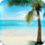 Incredible beaches