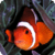 Zoo : Red Sea Wild Animals