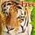Photo_Puzzle