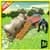 Transport Truck: Zoo Animals