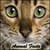 Funny Animal Facts