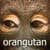 daZOO Orangutan Theme