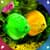 Newest Aquarium Live Wallpapers