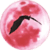 Flappy Vampire Bat