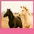 Horses Live Wallpapers New